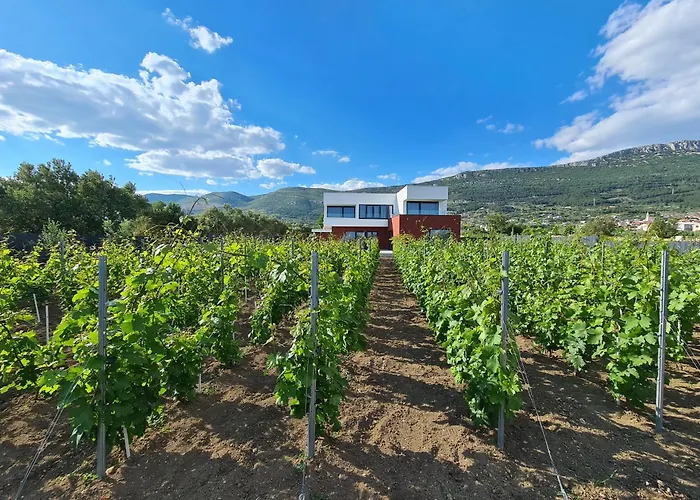 Villa Seven Hearts With Heated Pool And Private Basketball Playground Near Split
